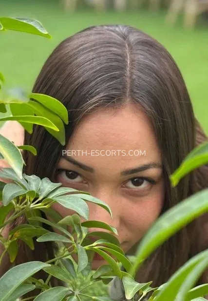 Perth escorts Ashlyn — 1